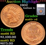 ***Auction Highlight*** 1902 Indian Cent 1c Graded ms65+ rd By SEGS