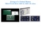 Group of 2 United States Mint Proof Sets 1998-1999 14 coins