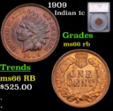 1909 Indian Cent 1c Graded ms66 rb By SEGS