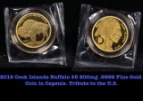 2019 Cook Islands Buffalo $5 200mg .9999 Fine Gold Coin in Capsule. Tribute to the U.S.