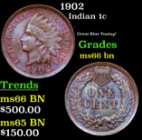 1902 Indian Cent 1c Grades GEM+ Unc BN