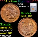 ***Auction Highlight*** 1909 Indian Cent 1c Graded ms65+ RD By SEGS (fc)