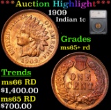 ***Auction Highlight*** 1909 Indian Cent 1c Graded ms65+ rd By SEGS (fc)