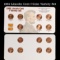 1982 Lincoln Cent 7-Coin Variety Set