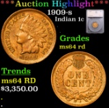 ***Auction Highlight*** 1909-s Indian Cent 1c Graded ms64 rd By SEGS (fc)