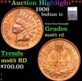 ***Auction Highlight*** 1906 Indian Cent 1c Graded ms65 rd By SEGS (fc)