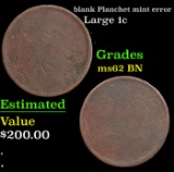 blank Planchet Large Cent 1c mint error Grades Select Unc BN