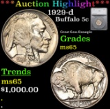 ***Auction Highlight*** 1929-d Buffalo Nickel 5c Graded ms65 By SEGS (fc)