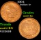 1904 Indian Cent 1c Grades Choice Unc BN