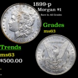 1899-p Morgan Dollar $1 Grades Select Unc