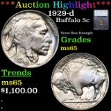 ***Auction Highlight*** 1929-d Buffalo Nickel 5c Grades GEM Unc BY SEGS (fc)