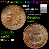 ***Auction Highlight*** 1863 Indian Cent 1c Grades GEM Unc By SEGS (fc)