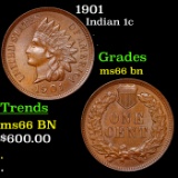 1901 Indian Cent 1c Grades GEM+ Unc BN