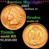 ***Auction Highlight*** 1907 Indian Cent 1c Graded ms66 rd BY SEGS (fc)