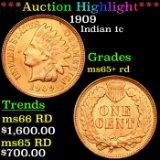 ***Auction Highlight*** 1909 Indian Cent 1c Graded ms65+ rd BY SEGS (fc)