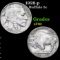 1928-p Buffalo Nickel 5c Grades xf