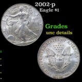 2002-p Silver Eagle Dollar $1 Grades Unc Details