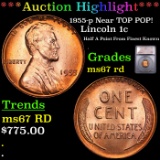 ***Auction Highlight*** 1955-p Lincoln Cent Near TOP POP! 1c Graded ms67 rd By SEGS (fc)