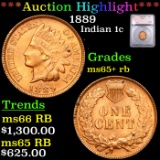 ***Auction Highlight*** 1889 Indian Cent 1c Grades Gem+ Unc RB By SEGS (fc)