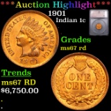 ***Auction Highlight*** 1901 Indian Cent 1c Grades GEM++ Unc RD By SEGS (fc)