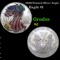 2000 Painted Silver Eagle Silver Eagle Dollar $1 Grades