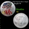 1999 Painted Silver Eagle Silver Eagle Dollar $1 Grades