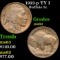 1913-p TY I Buffalo Nickel 5c Grades Select Unc