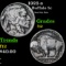 1923-s Buffalo Nickel 5c Grades f, fine