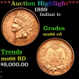 ***Auction Highlight*** 1889 Indian Cent 1c Graded ms66 rd By SEGS (fc)