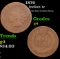 1876 Indian Cent 1c Grades g, good