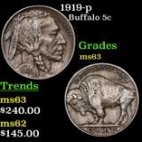 1919-p Buffalo Nickel 5c Grades Select Unc