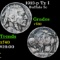 1913-p Ty I Buffalo Nickel 5c Grades vf++