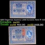 1902 Imperial Austria 1,000 Kronen Note P: 8A Grades Select AU