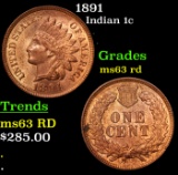 1891 Indian Cent 1c Grades Select Unc RD