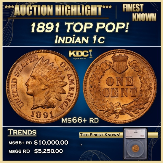 *Highlight* 1891 Indian Cent TOP POP! 1c ms66+ rd SEGS (fc)