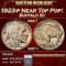 *Highlight* 1923-p Buffalo Nickel Near Top Pop! 5c ms67+ SEGS (fc)