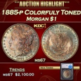 *Highlight* 1885-p Morgan Dollar Colorfuly Toned $1 ms67 SEGS (fc)