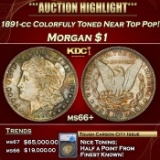 *Highlight* 1891-cc Morgan Dollar Colorfuly Toned Near Top Pop! $1 ms66+ SEGS (fc)