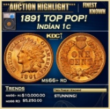 *Highlight* 1891 Indian Cent TOP POP! 1c ms66+ rd SEGS (fc)