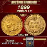 YC 1899 Indian Cent 1c ms67 rd SEGS