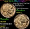*Highlight* 1938-d/s Buffalo Nickel Near Top Pop! 5c ms67+ SEGS (fc)