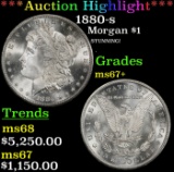 *Highlight* 1880-s Morgan Dollar $1 ms67+ SEGS (fc)
