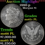*Highlight* 1880-p Morgan Dollar $1 ms65+ PL SEGS (fc)