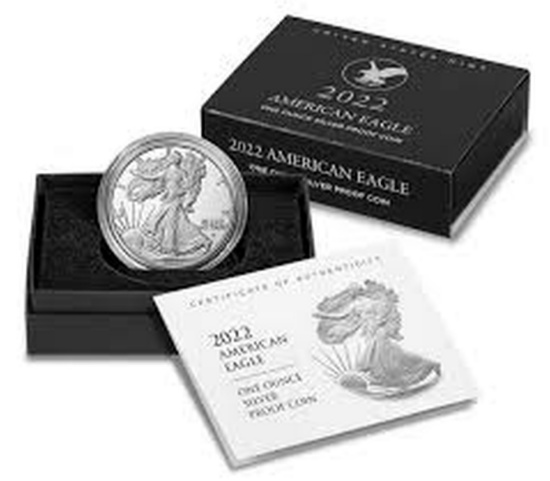 2022-w Silver Eagle 1 Oz Silver Proof In Original Packaging