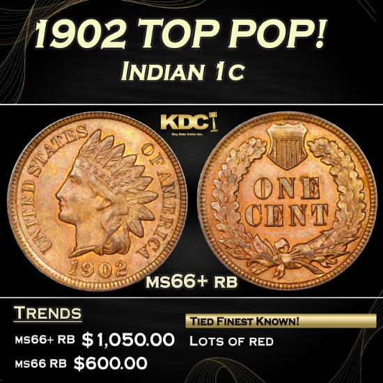 1902 Indian Cent TOP POP! 1c ms66+ rb SEGS