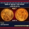 1909-p Lincoln Cent Near Top Pop! 1c ms67 rd SEGS
