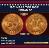 1901 Indian Cent Near Top Pop! 1c ms66+ rd SEGS