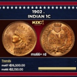 1902 Indian Cent . 1c ms66+ rd SEGS
