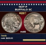 1927-p Buffalo Nickel 5c Grades ms66