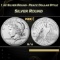 1 oz Silver Round - Peace Dollar Style